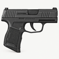 Sig P365 Inline Porting
